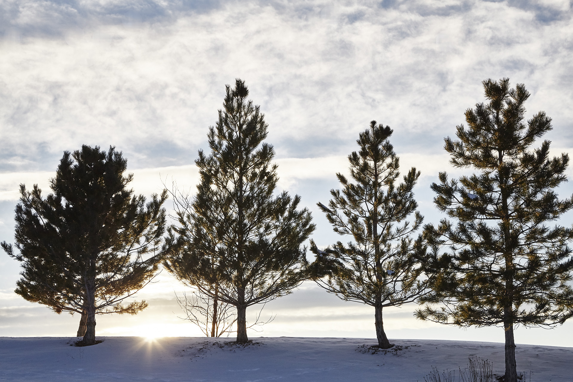 Black Bear Golf Club - Snow