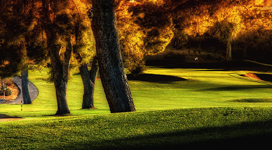 Oro Valley Country Club Golf