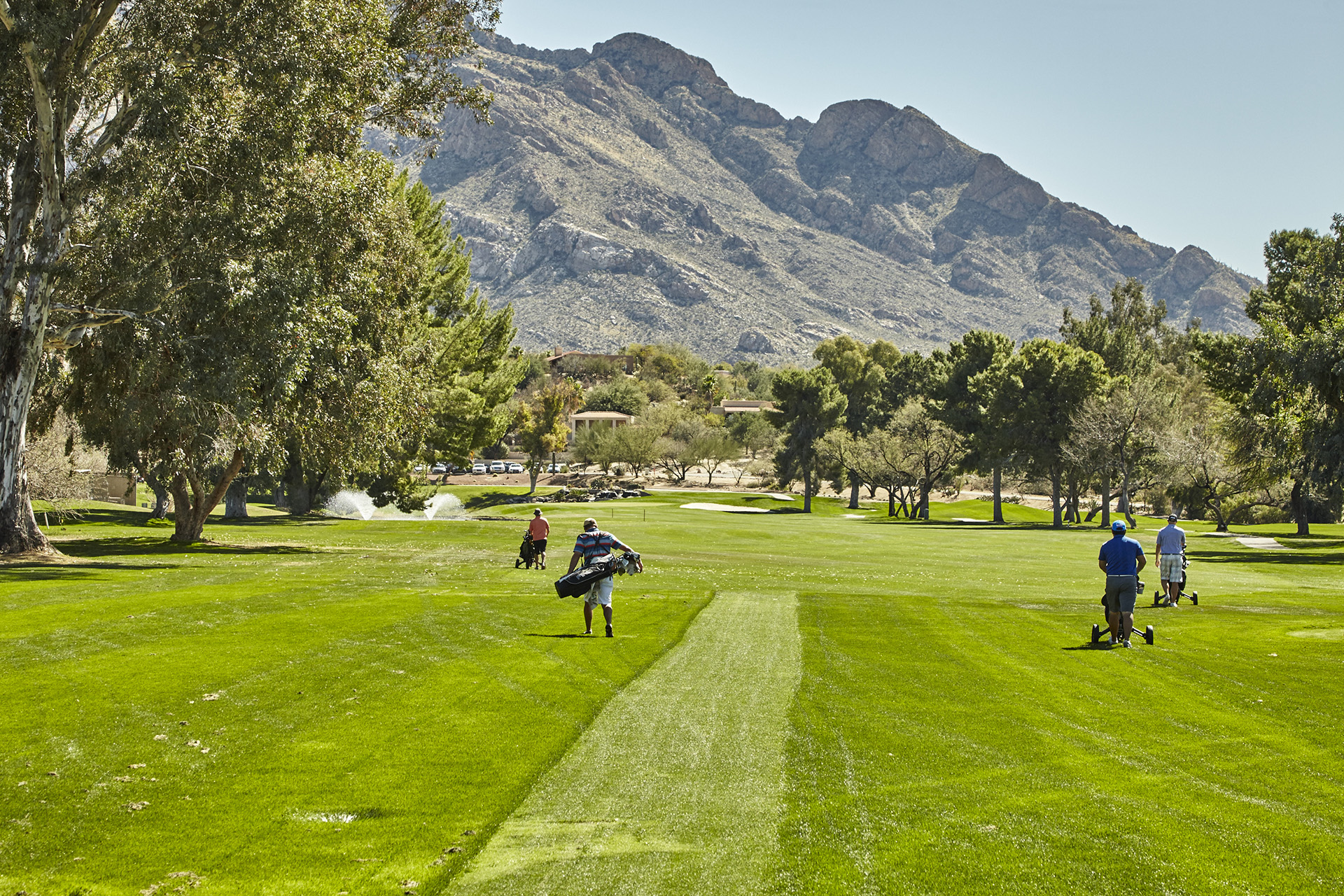 Oro Valley Country Club - Golfers