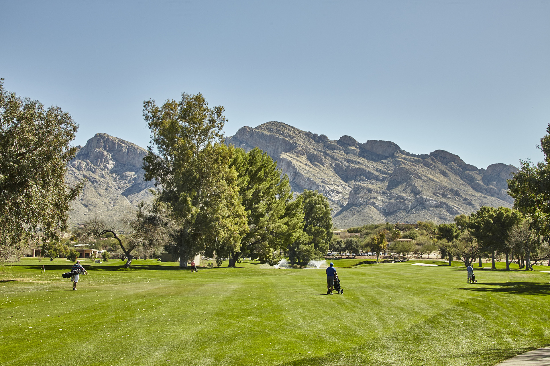 Oro Valley Country Club - Golfers