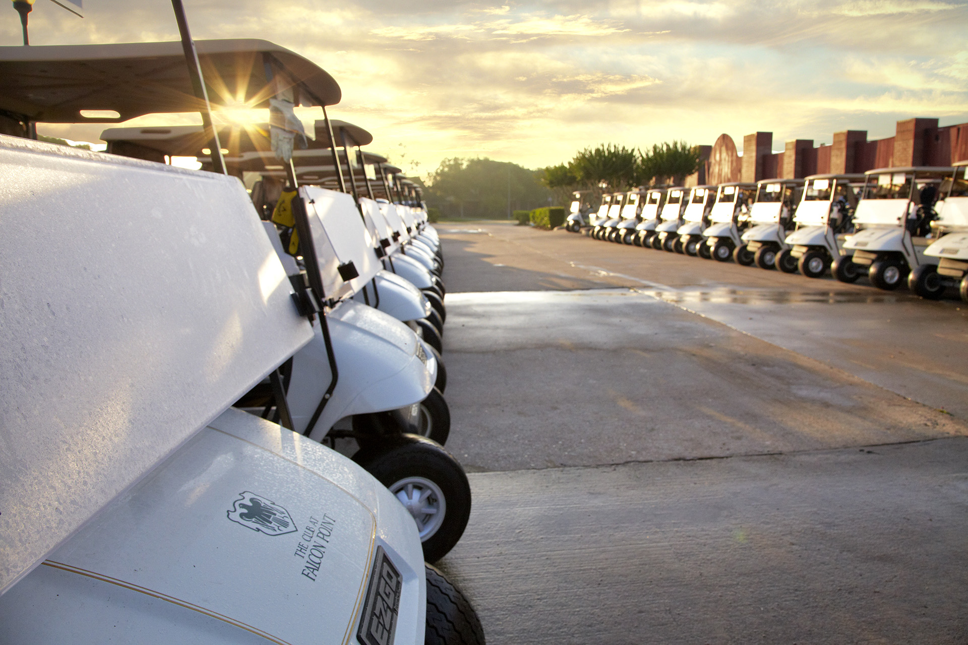 The Club at Falcon Point - Golf